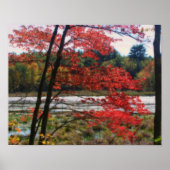 Red Autumn Foliage Marsh Orton Effect Poster (Voorkant)