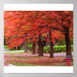 Red Autumn Glory door MiySpirit Poster