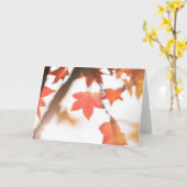 Red Autumn Leaf Natuur Foto Kaart (Gele Bloem)