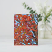Red Autumn Leaves Briefkaart (Staand voorkant)