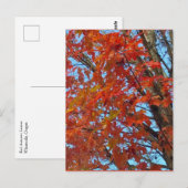 Red Autumn Leaves Briefkaart (Voorkant / Achterkant)