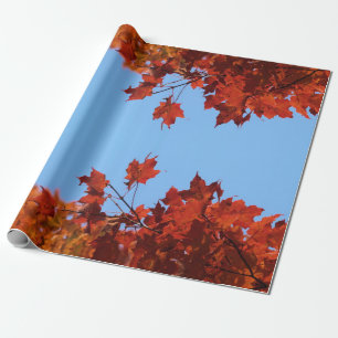 Red Autumn Leaves en Blue Sky Cadeaupapier