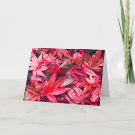 Red Autumn Leaves Feestdagen Kaart