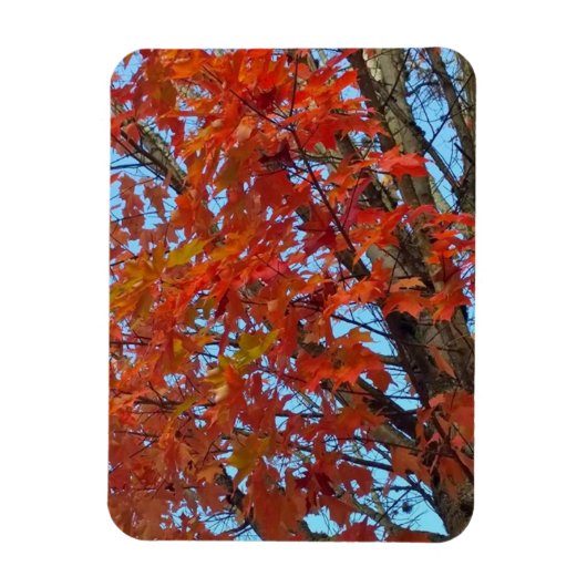 Red Autumn Leaves Magneet (Verticaal)