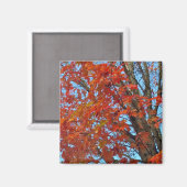 Red Autumn Leaves Magneet (Voorkant / Achterkant)