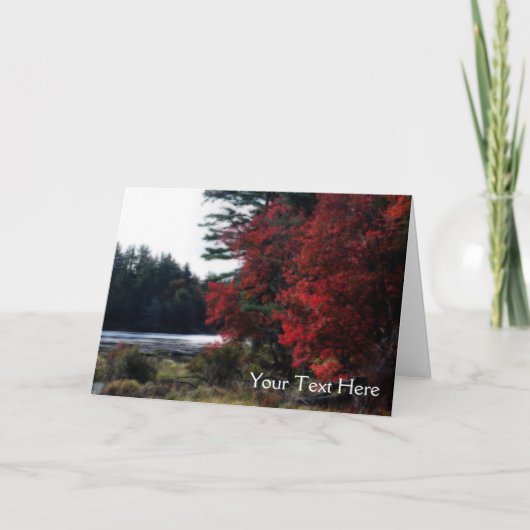 Red Autumn Leaves Pond Natuur Photo Card Kaart (Voorkant)
