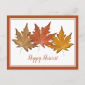 Red Autumn Maple Leaf Elegant Natuur Harvest Feestdagenkaart (Voorkant)