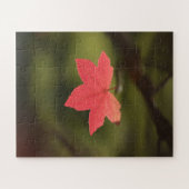 Red Autumn Maple Leaf Natuur Foto Legpuzzel (Horizontaal)