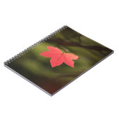 Red Autumn Maple Leaf Natuur Foto Notitieboek (Linkerzijde)