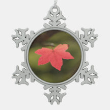 Red Autumn Maple Leaf Natuur Foto