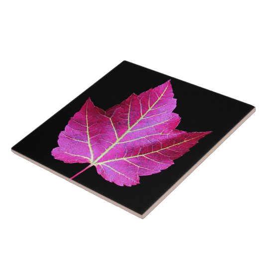 Red Autumn Maple Leaf on Black Background Tegeltje (Zijkant)
