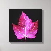 Red Autumn Maple Leaf on Black Floral Canvas Afdruk (Voorkant)