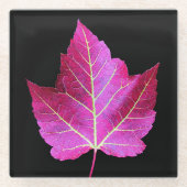 Red Autumn Maple Leaf on Black Floral Glazen Onderzetter (Voorkant)