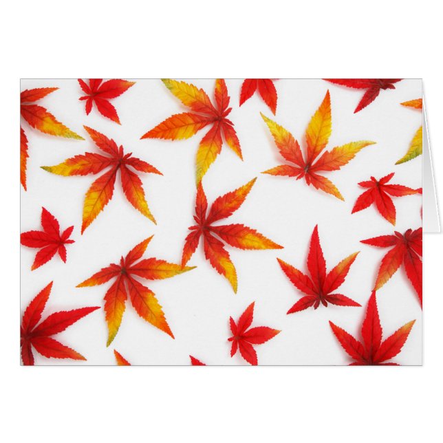 Red Autumn Maple Leaves (Voorkant Horizontaal)