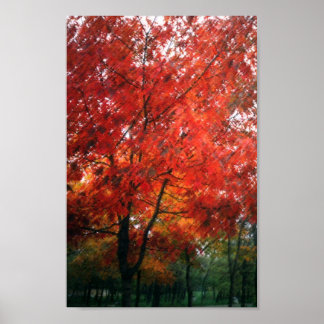 Red Autumn Tree Poster