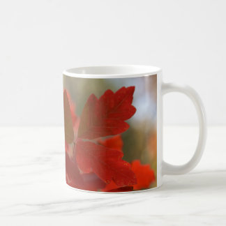 Red Autumn verliest Mok