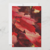 Red Autumn verliest Natuur Kaart (Achterkant)