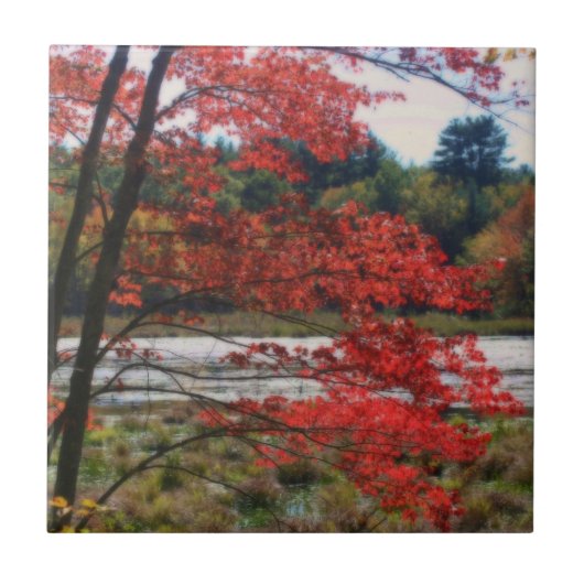 Red Autumn verliest Natuur kunststapel Tegeltje (Voorkant)
