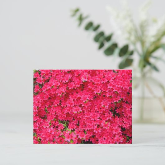 Red Azalea Flower Patch Briefkaart (Staand voorkant)