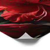 Red Azalea Flowers Art Print Poster (Hoek)