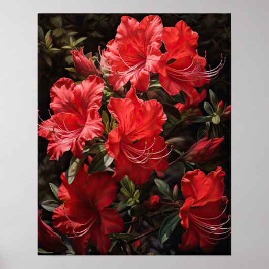 Red Azalea Flowers Art Print Poster (Voorkant)