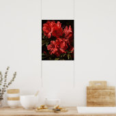 Red Azalea Flowers Art Print Poster (Keuken)
