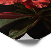 Red Azalea Flowers Art Print Poster (Hoek)