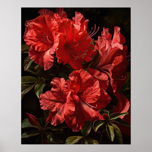 Red Azalea Flowers Art Print Poster (Voorkant)