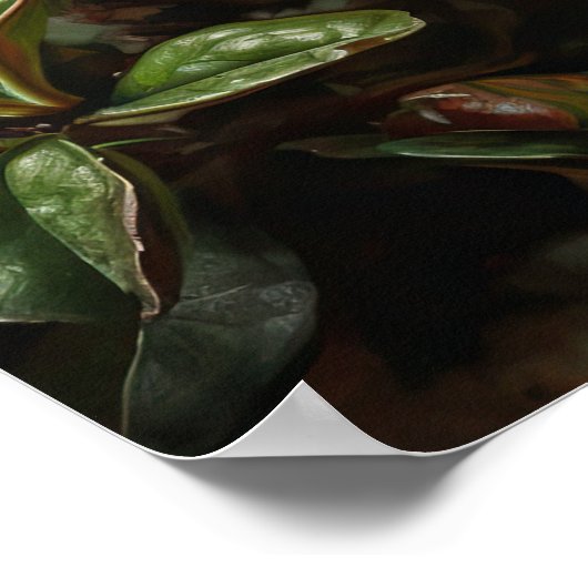 Red Azalea Flowers Art Print Poster (Hoek)