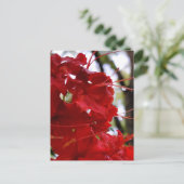 Red Azalea Flowers Briefkaart (Staand voorkant)
