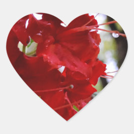 Red Azalea Flowers Hart Sticker