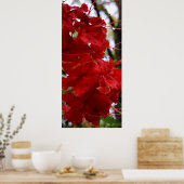 Red Azalea Flowers Poster (Keuken)