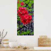 Red Azalea Flowers Poster (Keuken)