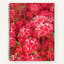 Red Azalea Notitieboek
