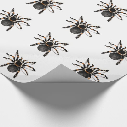Red Banded Tarantula spider Cadeaupapier (Hoek)