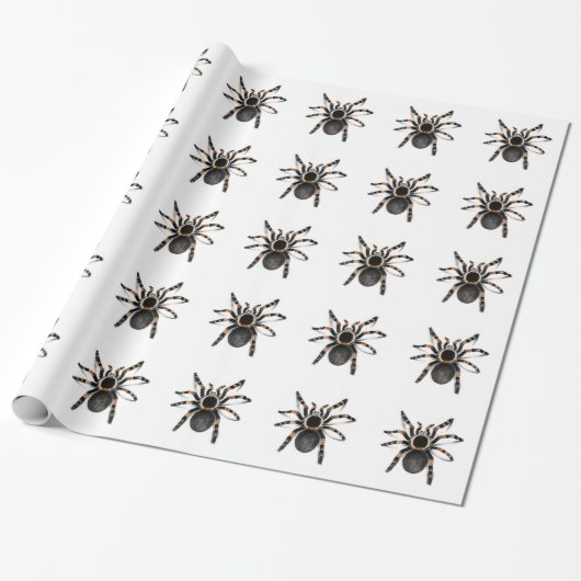 Red Banded Tarantula spider Cadeaupapier (Uitgerold)