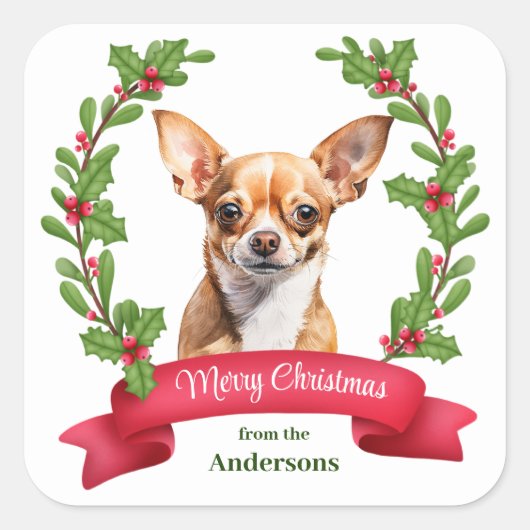 Red Banner Holly Brown Chihuahua Dog Christmas Vierkante Sticker (Voorkant)