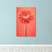 Red Barberton Gerbera Daisy Flower Canvas Afdruk (Insitu (Houten vloer))