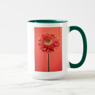 Red Barberton Gerbera Daisy Flower Mok