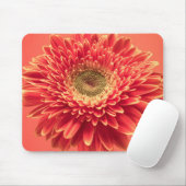 Red Barberton Gerbera Daisy Flower Muismat (Met muis)