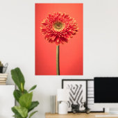 Red Barberton Gerbera Daisy Flower Poster (Thuiskantoor)