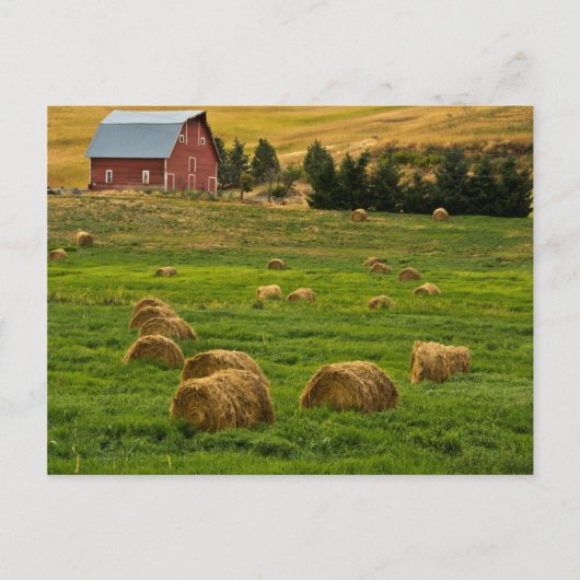 Red Barn, hay bales, Albion, Palouse Area 2 Briefkaart (Voorkant)