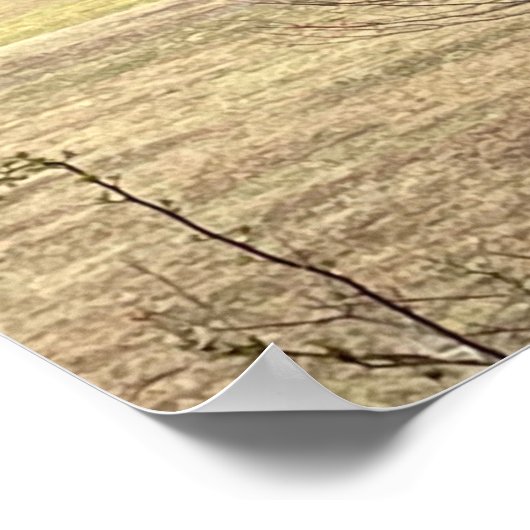 Red Barn op Hill Poster (Hoek)