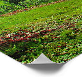 Red Barn op zonnige zomerdag Poster (Hoek)