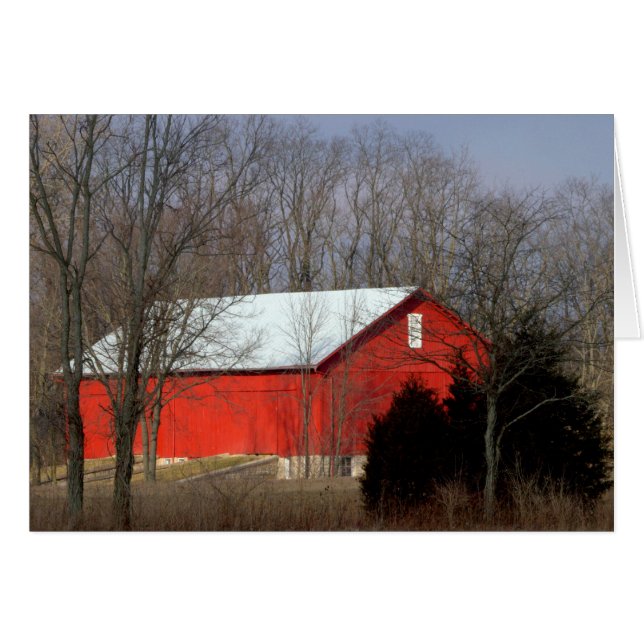 Red Barn op zonnige zondagochtend (Voorkant Horizontaal)