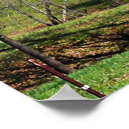 Red Barn Poster (Hoek)