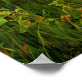 Red Barn Poster (Hoek)