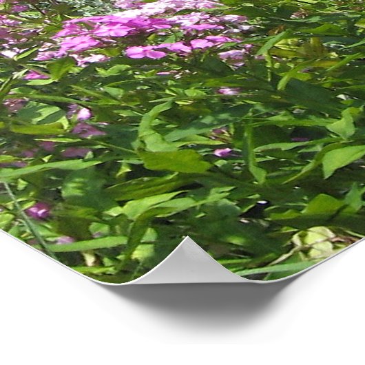 Red Barn Poster (Hoek)