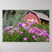 Red Barn Poster (Voorkant)