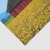 Red Barn Snuggled in het veld Gele Daffodils Tissuepapier (Detail)